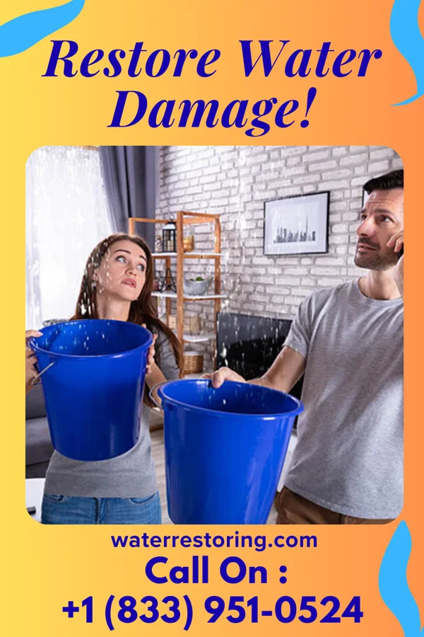 water restoration Elite Water Damage Partners Hornsby Bend