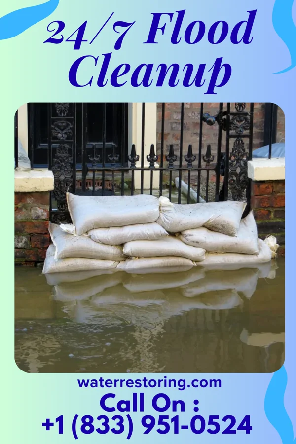 24/7 Flood Cleanup in Hornsby Bend, TX