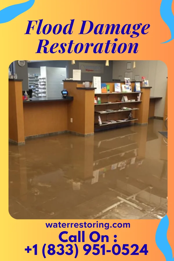 Flood Damage Restoration in Hornsby Bend, TX