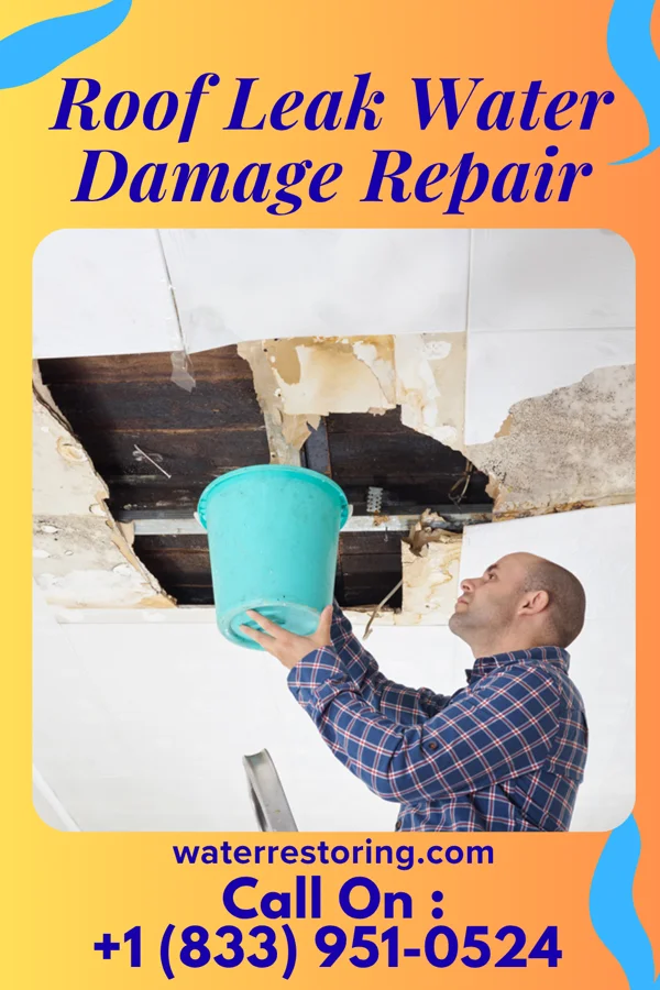 Roof Leak Water Damage Repair in Hornsby Bend, TX