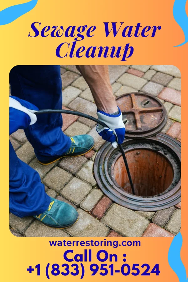 Sewage Water Cleanup in Hornsby Bend, TX